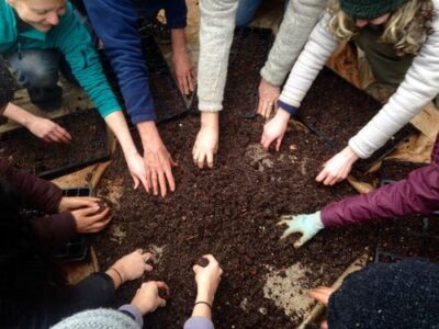 Wild Abundance’s Seed-Starting Soil Mix Image
